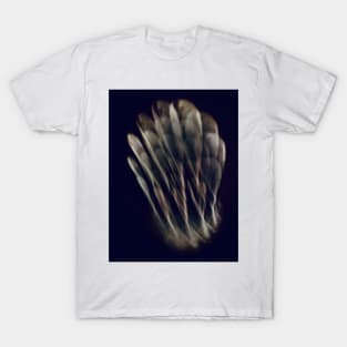 Feather T-Shirt